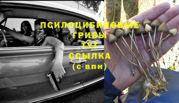 spice Богданович