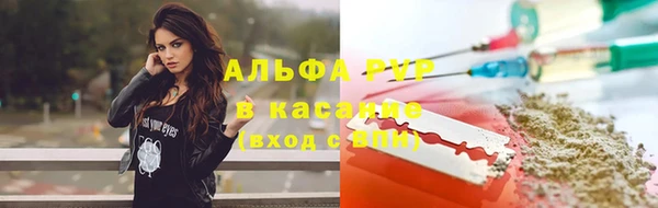 стаф Богородск