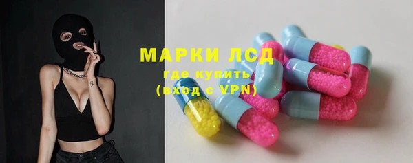 стаф Богородск