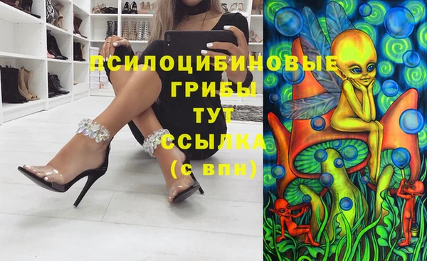 марки nbome Бородино