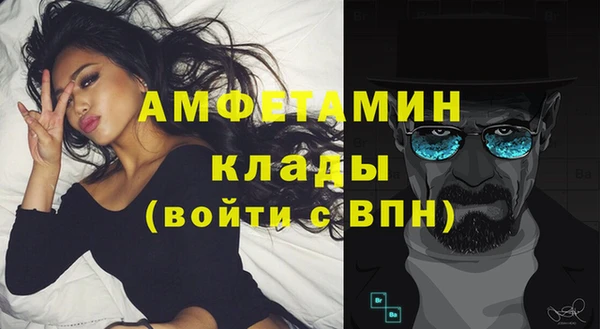 spice Богданович